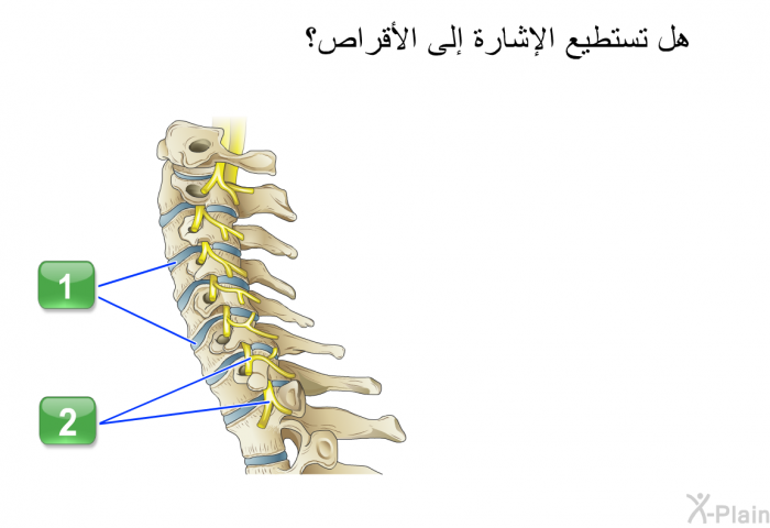 هل تستطيع الإشارة إلى الأقراص؟