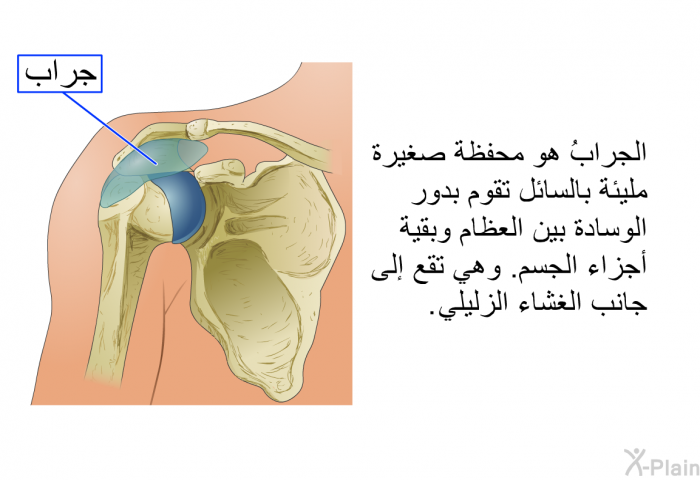 الجرابُ هو محفظةٌ صغيرة مليئة بالسائل تقوم بدور الوسادة بين العظام وبقية أجزاء الجسم. وهي تقع إلى جانب الغشاء الزليلي.