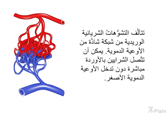 تتألَّف التشوُّهاتُ الشريانية الوريدية من شبكة شاذَّة من الأوعية الدموية. يمكن أن تتَّصل الشرايين بالأوردة مباشرة دون تدخل الأوعية الدموية الأصغر.