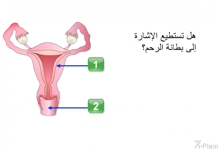 هل تستطيع الإشارة إلى بطانة الرحم؟