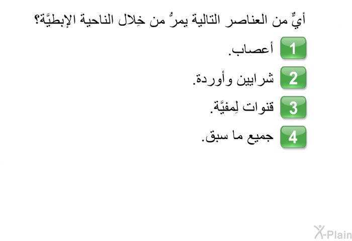 أيٌّ من العناصر التالية يمرُّ من خِلال الناحية الإبطيَّة؟  أعصاب. شرايين وأوردة. قنوات لِمفيَّة. جميع ما سبق.