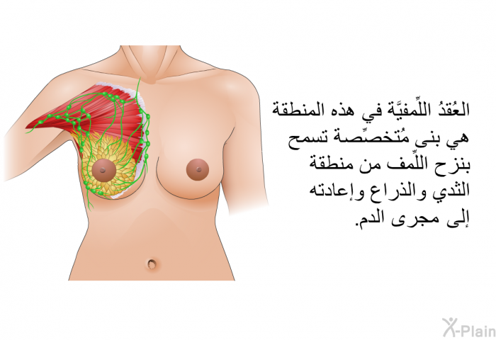 العُقدُ اللِّمفيَّة في هذه المنطقة هي بنى مُتخصِّصة تسمح بنزح اللِّمف من منطقة الثدي والذراع وإعادته إلى مجرى الدم.