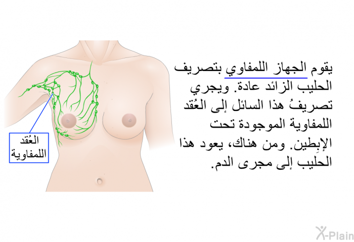 يقوم الجهاز اللمفاوي بتصريف الحليب الزائد عادة. ويجري تصريفُ هذا السائل إلى العُقد اللمفاوية الموجودة تحت الإبِطين. ومن هناك، يعود هذا الحليب إلى مجرى الدم.