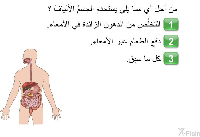 من أجل أي مما يلي يستخدم الجسمُ الأليافَ ؟  التخلُّص من الدهون الزائدة في الأمعاء<B>.</B> دفع الطعام عبر الأمعاء<B>.</B> كل ما سبق<B>.</B>