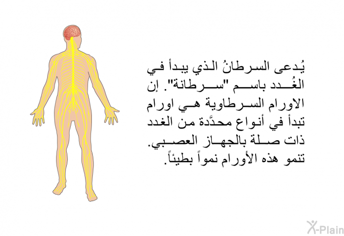 يُدعى السرطانُ الذي يبدأ في الغُدد باسم "سرطانة". إن الاورام السرطاوية هي اورام تبدأ في أنواع محدَّدة من الغدد ذات صلة بالجهاز العصبي. تنمو هذه الأورام نمواً بطيئاً.