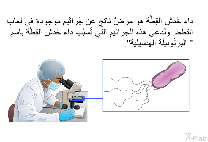 داء خَدش القِطَّة هو مرضٌ ناتج عن جَراثيم موجودة في لعاب القطط. وتُدعى هذه الجَراثيم التي تُسَبِّب داء خَدش القِطَّة باسم " البَرتُونيلَة الهنسيلية".