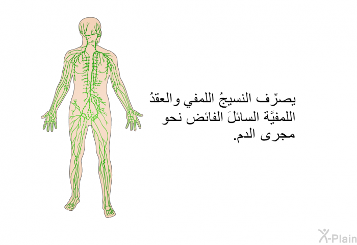 يصرِّف النسيجُ اللمفي والعقدُ اللمفيَّة السائلَ الفائض نحو مجرى الدم.