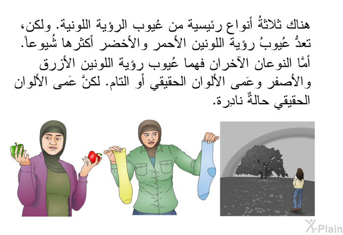 هناك ثلاثةُ أنواع رئيسية من عُيوب الرؤية اللونية. ولكن، تعدُّ عُيوبُ رؤية اللونين الأحمر والأخضر أكثرها شُيوعاً. أمَّا النوعان الآخران فهما عُيوب رؤية اللونين الأزرق والأصفر وعَمى الألوان الحقيقي أو التام. لكنَّ عَمى الألوان الحقيقي حالةٌ نادِرة.