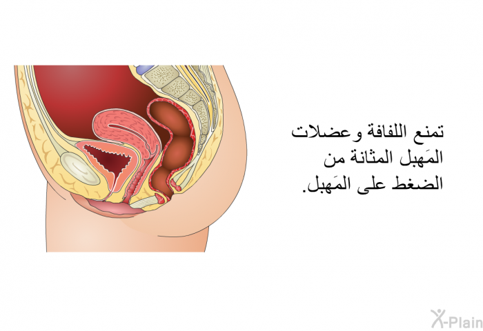 تمنع اللفافة وعضلات المَهبِل المثانة من الضغط على المَهبِل.