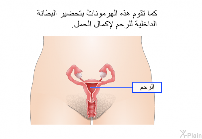 كما تقوم هذه الهرموناتُ بتحضير البطانة الداخلية للرحم لإكمال الحمل.