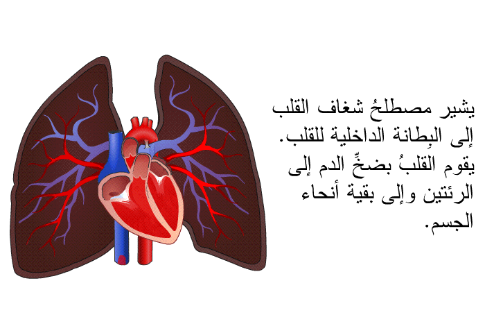 يشير مصطلحُ شغاف القلب إلى البِطانة الداخلية للقلب. يقوم القلبُ بضخِّ الدم إلى الرئتين وإلى بقية أنحاء الجسم.
