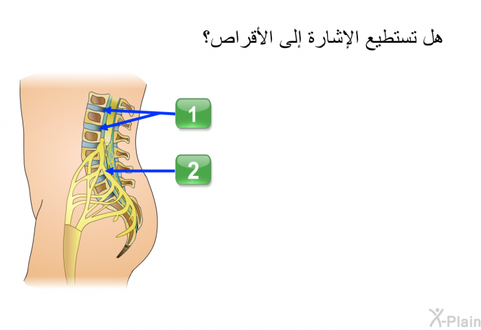 هل تستطيع الإشارة إلى الأقراص؟