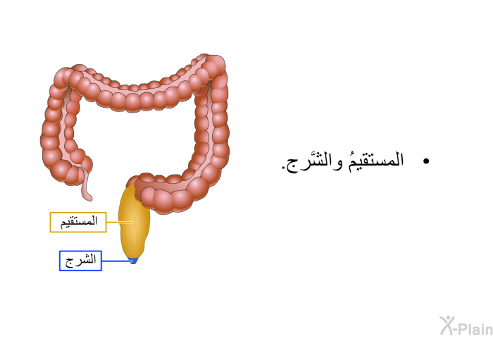 المستقيمُ والشَّرج.