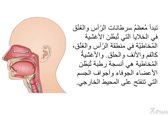 تبدأ مُعظمُ سرطانات الرَّأس والعُنُق في الخلايا التي تُبطِّن الأغشية المُخاطيَّة في منطقة الرَّأس والعُنُق، كالفم والأنف والحلق. والأغشيةُ المُخاطية هي أنسجة رطبة تُبطِّن الأعضاء الجوفاء وأجواف الجسم التي تنفتح على المحيط الخارجي.