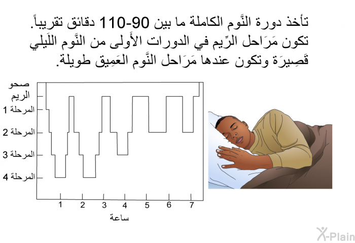 تأخذ دورة النَّوم الكاملة ما بين 90-110 دقائق تقريباً. تكون مَرَاحل الرِّيم في الدورات الأَولى من النَّوم اللَيلي قَصِيرَة وتكون عندها مَرَاحل النَّوم العَمِيق طويلة.