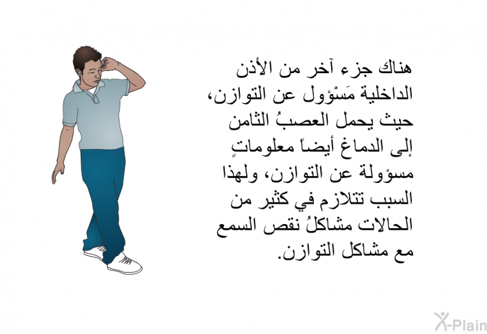 هناك جزءٌ آخر من الأذن الداخلية مَسْؤول عن التوازن، حيث يحمل العصبُ الثامن إلى الدماغ أيضاً معلوماتٍ مسؤولة عن التوازن، ولهذا السبب تتلازم في كثير من الحالات مشاكلُ نقص السمع مع مشاكل التوازن.