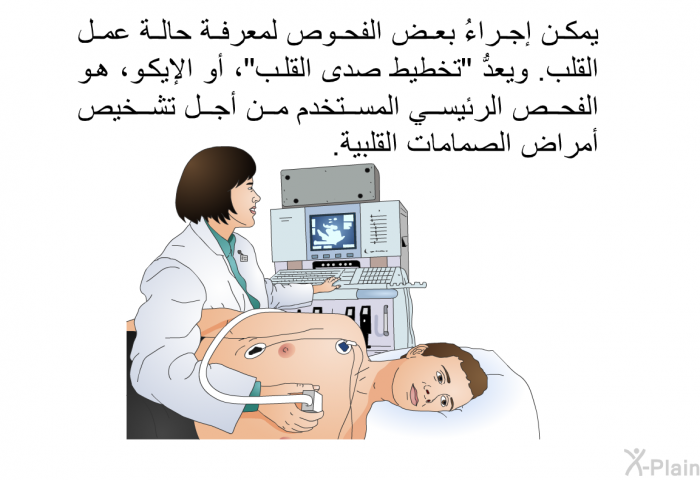 يمكن إجراءُ بعض الفحوص لمعرفة حالة عمل القلب. ويعدُّ "تخطيط صدى القلب"، أو الإيكو، هو الفحص الرئيسي المستخدم من أجل تشخيص أمراض الصمامات القلبية.