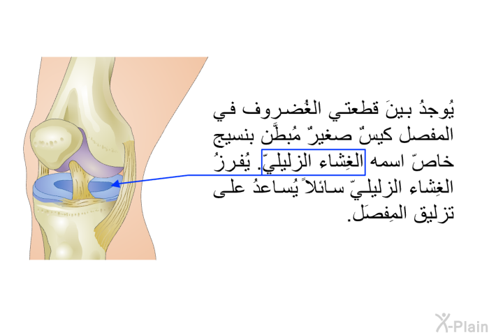 يُوجدُ بينَ قطعتي الغُضروف في المفصل كيسٌ صغيرٌ مُبطَّن بنسيج خاصّ اسمه الغِشاء الزليليّ. يُفرزُ الغِشاء الزليليّ سائلاً يُساعدُ على تزليق المِفصَل.