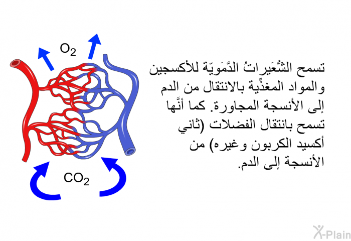 تسمح الشُّعَيراتُ الدَّمَويّة للأكسجين والمواد المغذِّية بالانتقال من الدم إلى الأنسجة المجاورة. كما أنَّها تسمح بانتقال الفضلات (ثاني أكسيد الكربون وغيره) من الأنسجة إلى الدم.