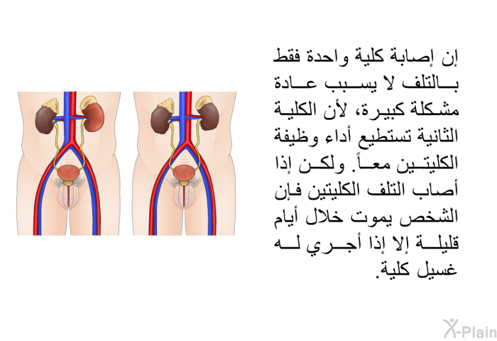 إن إصابة كلية واحدة فقط بالتلف لا يسبب عادة مشكلة كبيرة، لأن الكلية الثانية تستطيع أداء وظيفة الكليتين معاً. ولكن إذا أصاب التلف الكليتين فإن الشخص يموت خلال أيام قليلة إلا إذا أجري له غسيل كلية.