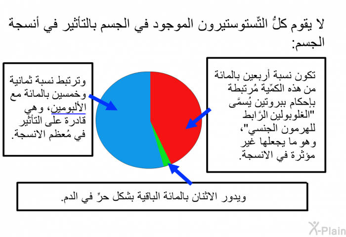 لا يقوم كلُّ التِّستوستيرون الموجود في الجسم بالتأثير في أنسجة الجسم:   تكون نسبة أربعين بالمائة من هذه الكمِّية مُرتبطة بإحكام ببروتين يُسمَّى "الغلوبولين الرَّابط للهرمون الجنسي"، وهو ما يجعلها غير مُؤثِّرة في الانسجة.  وترتبط نسبة ثمانية وخمسين بالمائة مع الألبومين، وهي قادرة على التأثير في مُعظم الانسجة. ويدور الاثنان بالمائة الباقية بشكل حرٍّ في الدم.