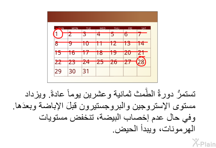 تستمرُّ دورةُ الطَّمث ثمانية وعشرين يوماً عادةً. ويزداد مستوى الإستروجين والبروجستيرون قبلَ الإباضة وبعدَها. وفي حال عدم إخصاب البيضة، تنخفض مستويات الهرمونات، ويبدأ الحيضُ.