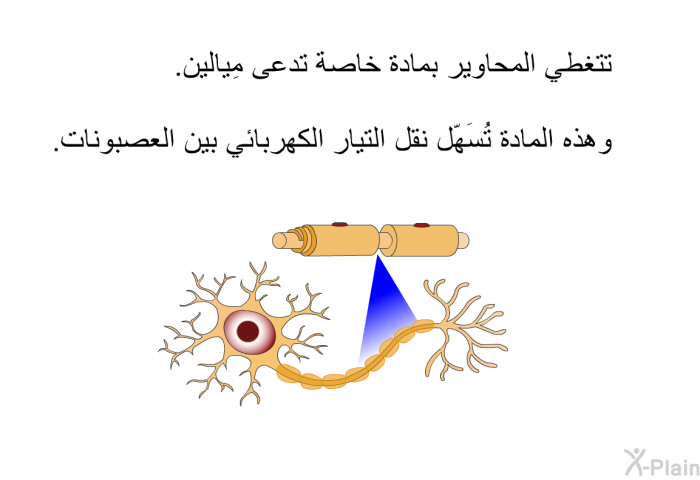 تتغطي المحاوير بمادة خاصة تدعى مِيالين. وهذه المادة تُسَهّل نقل التيار الكهربائي بين العصبونات.