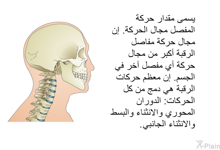 يسمى مقدار حركة المفصل مجال الحركة. إن مجال حركة مفاصل الرقبة أكبر من مجال حركة أي مفصل آخر في الجسم. إن معظم حركات الرقبة هي دمج من كل الحركات: الدوران المحوري والانثناء والبسط والانثناء الجانبي.