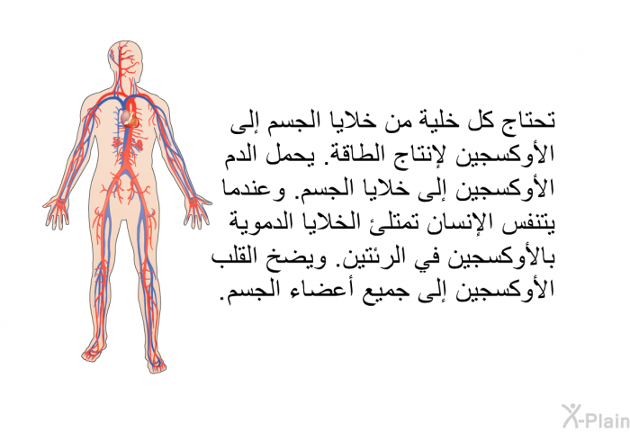 تحتاج كل خلية من خلايا الجسم إلى الأوكسجين لإنتاج الطاقة<B>. </B>يحمل الدم الأوكسجين إلى خلايا الجسم<B>. </B>وعندما يتنفس الإنسان تمتلئ الخلايا الدموية بالأوكسجين في الرئتين<B>. </B>ويضخ القلب الأوكسجين إلى جميع أعضاء الجسم<B>. </B>