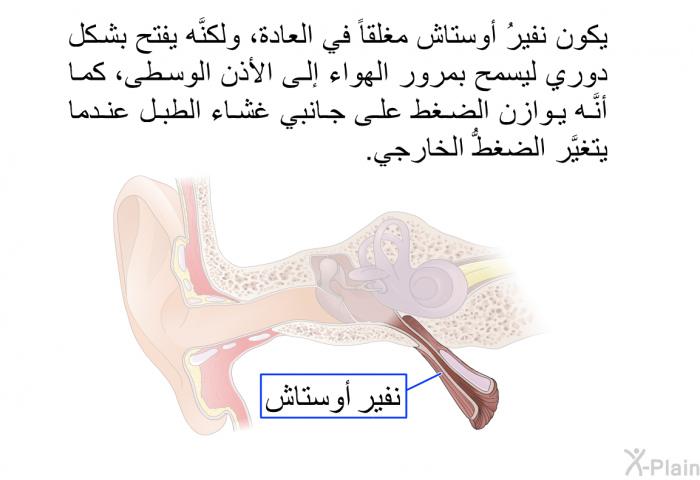 يكون نفيرُ أوستاش مغلقاً في العادة، ولكنَّه يفتح بشكل دوري ليسمح بمرور الهواء إلى الأذن الوسطى، كما أنَّه يوازن الضغط على جانبي غشاء الطبل عندما يتغيَّر الضغطُّ الخارجي.