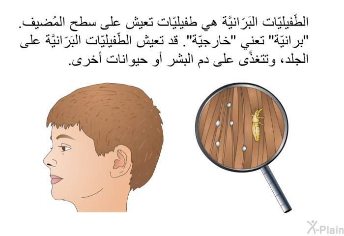 الطّفيليّات البَرّانيَّة هي طفيليّات تعيش على سطح المُضيف. "برانيّة" تعني "خارجيّة". قد تعيش الطّفيليّات البَرّانيَّة على الجلد، وتتغذَّى على دم البشر أو حيوانات أخرى.