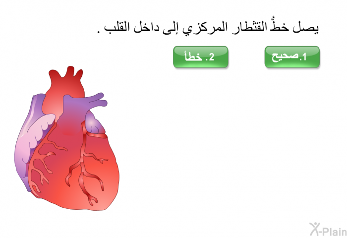 يصل خطُّ القثطار المركزي إلى داخل القلب.