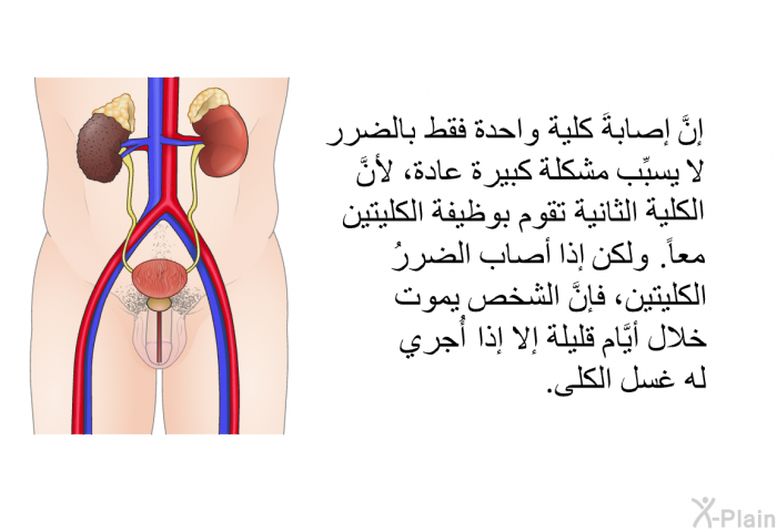 إنَّ إصابةَ كلية واحدة فقط بالضرر لا يسبِّب مشكلة كبيرة عادة، لأنَّ الكلية الثانية تقوم بوظيفة الكليتين معاً. ولكن إذا أصاب الضررُ الكليتين، فإنَّ الشخص يموت خلال أيَّام قليلة إلا إذا أُجري له غسل الكلى.