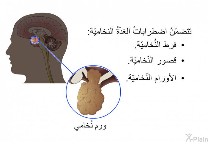 تتضمّنُ اضطراباتُ الغدّةُ النخاميّة:  فرط النُّخاميّة. قصور النّخاميّة. الأورام النُخاميّة.