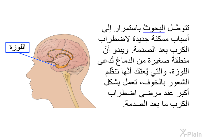 تتوصَّل البحوثُ باستمرار إلى أسباب ممكنة جديدة لاضطراب الكرب بعد الصدمة. ويبدو أنَّ منطقةً صغيرة من الدماغ تُدعى اللوزة، والتي يُعتقد أنَّها تنظِّم الشعور بالخوف، تعمل بشكل أكبر عند مرضى اضطراب الكرب ما بعد الصدمة.