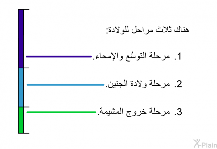 هناك ثلاث مراحل للولادة:  مرحلة التوسُّع والإمحاء. مرحلة ولادة الجنين. مرحلة خروج المشيمة.