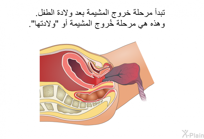 تبدأ مرحلة خروج المشيمة بعد ولادة الطفل. وهذه هي مرحلة خُروج المشيمة أو "ولادتها".