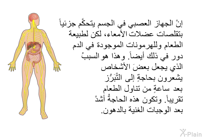 إنَّ الجهاز العصبي في الجسم يتحكَّم جزئياً بتقلصات عضلات الأمعاء، لكن لطبيعة الطعام وللهرمونات الموجودة في الدم دورٌ في ذلك أيضاً. وهذا هو السببُ الذي يجعل بعضَ الأشخاص يشعرون بحاجةٍ إلى التَّبَرُّز بعد ساعةٍ من تناول الطعام تقريباً. وتكون هذه الحاجةُ أشدَّ بعد الوجبات الغنية بالدهون.