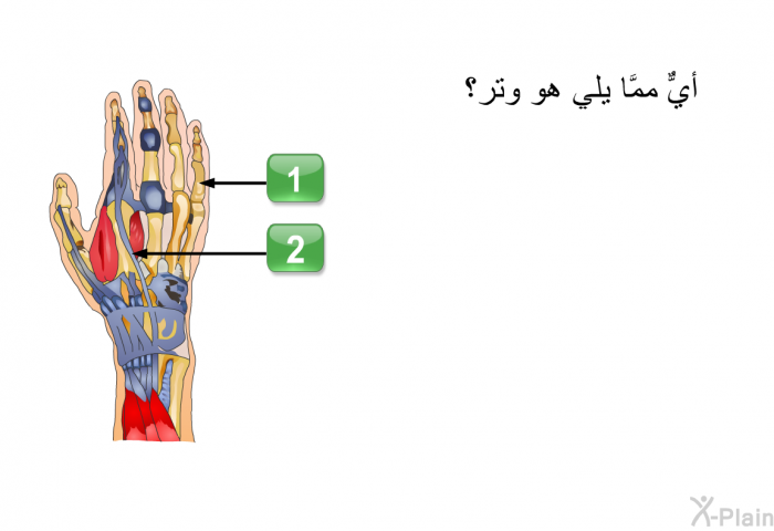 حدِّد الإجابةَ الصحيحة عن السُّؤال التالي: أيٌّ ممَّا يلي هو وتر؟ اضغط أ أو ب.