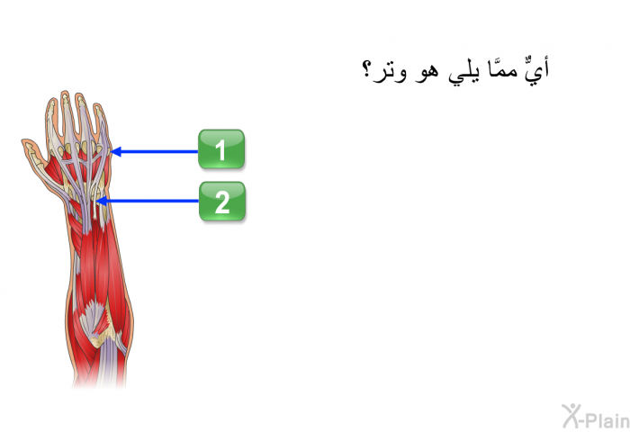 أيٌّ ممَّا يلي هو وتر؟