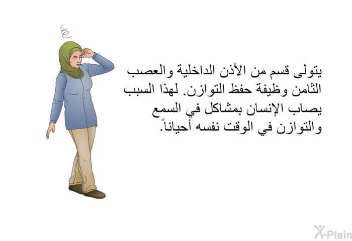 يتولى قسم من الأذن الداخلية والعصب الثامن وظيفة حفظ التوازن. لهذا السبب يصاب الإنسان بمشاكل في السمع والتوازن في الوقت نفسه أحياناً.