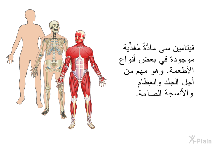 فيتامين سي مادَّةٌ مُغذِّية موجودة في بعض أنواع الأطعمة. وهو مهم من أجل الجلد والعِظام والأنسجة الرابطة.