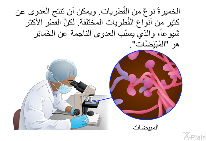 الخميرةُ نوعٌ من الفُطريات. ويمكن أن تنتج العدوى عن كثير من أنواع الفُطريات المختلفة. لكنَّ الفطر الأكثر شيوعاً، والذي يسبِّب العدوى الناجمة عن الخَمائِر، هو "المُبْيَضَّات".