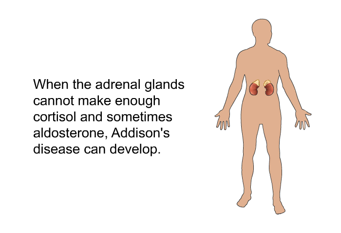 When the adrenal glands cannot make enough cortisol and sometimes aldosterone, Addison's disease can develop.