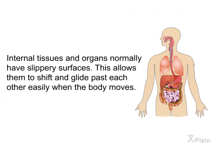 Internal tissues and organs normally have slippery surfaces. This allows them to shift and glide past each other easily when the body moves.