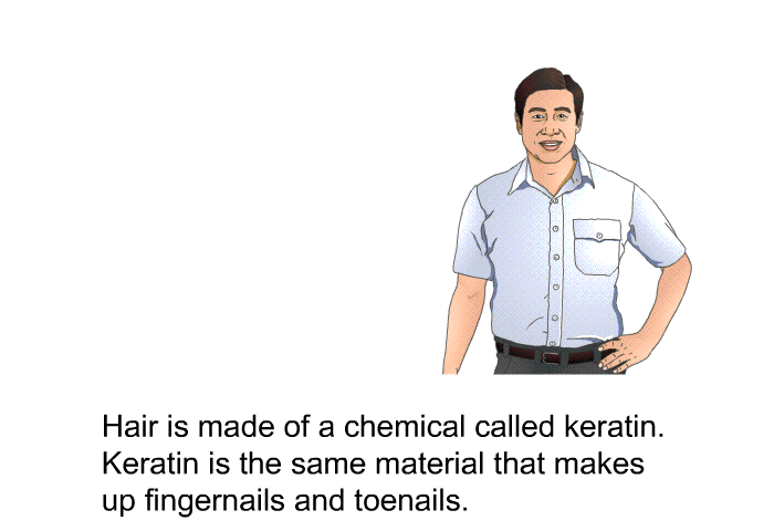 Hair is made of a chemical called keratin. Keratin is the same material that makes up fingernails and toenails.