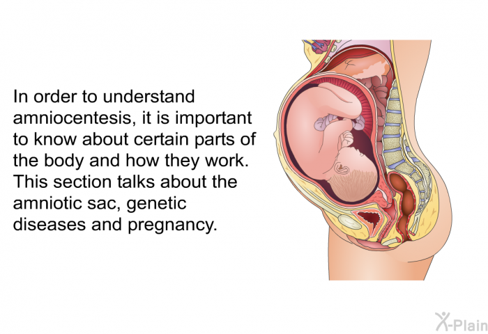 In order to understand amniocentesis, it is important to know about certain parts of the body and how they work. This section talks about the amniotic sac, genetic diseases and pregnancy.
