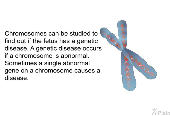 Chromosomes can be studied to find out if the fetus has a genetic disease. A genetic disease occurs if a chromosome is abnormal. Sometimes a single abnormal gene on a chromosome causes a disease.