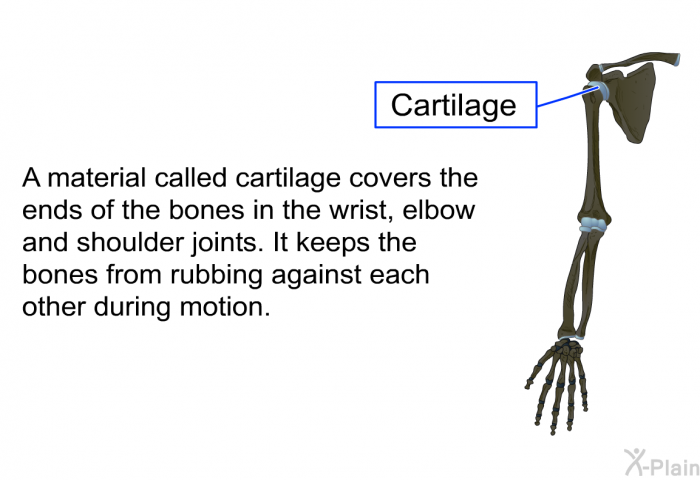 A material called cartilage covers the ends of the bones in the wrist, elbow and shoulder joints. It keeps the bones from rubbing against each other during motion.