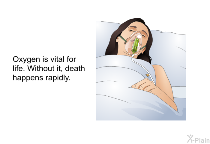 Oxygen is vital for life. Without it, death happens rapidly.